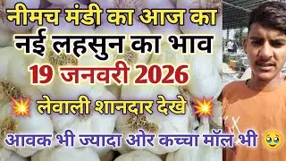 नीमच मंडी आज का नई लहसुन का भाव  / Neemuch mandi bhav today /Neemuch mandi lahsun bhav