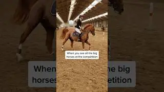 Do you also get nervous at competitions? 🫠 #horse #horses #pony #riding #equestrian #pferde #funny