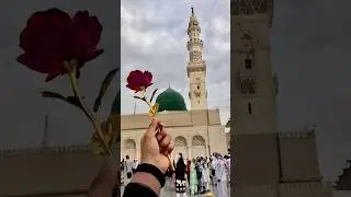 Allah# ho #allah💚🕋🕌