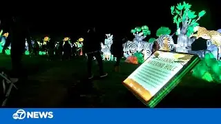 Oakland Zoo's 'Glowfari' lantern festival returns
