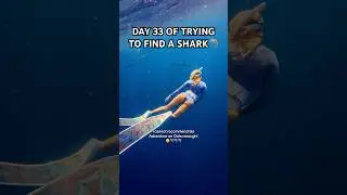 Ending my shark diving series with a BANG with @goadventurehawaii_ 🦈 SO MANY SHARKS!😱