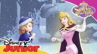 Aurora's Animal Friends Save the Day | Sofia the First 👑 | Disney Junior Arabia