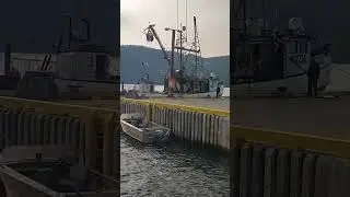 🇨🇦 Atlantic Canada 🇨🇦 Norris Point Ingros Morene  Ferry  National  park New Foundland