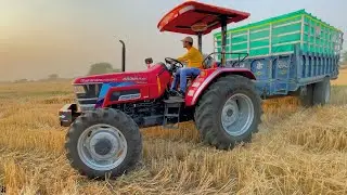 Day-3 | Harvesting 4wd Mahindra Arjun 605 Di Mahindra 275 Di XP plus Eicher 485
