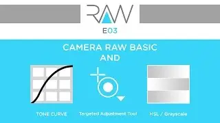 Camera RAW E03- Basic - Curve - HSL - Grayscale