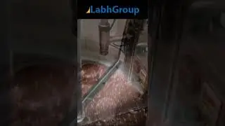 Hazelnut Butter Making Machines #shorts #labh_group #peanutbutter #foodprocessingmachinery