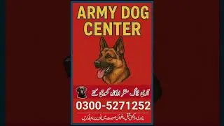 Army Dog Center Peshawar #armydogcenterpeshawar