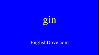 How to pronounce gin in American English.