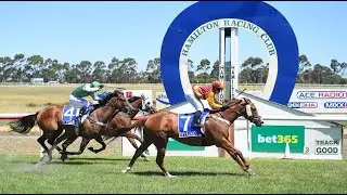 【HAMILTON】AUSTRALIAN HORSE RACE ANALYSIS - CHECK OUT ONE OF THE BEST ☆☆☆ TOO!!