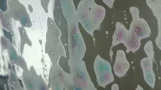 Carwash with Pennie || Carlyle, SK