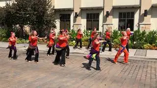 Shimmy Mob EASA 2019 Berkeley Springs, WV