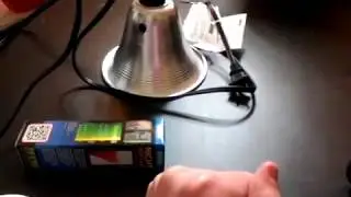 Heat Lamps vs Heat Pads (Ball Pythons) - Benjamin's Exotics
