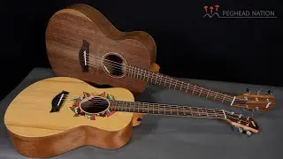 Taylor Jacob Collier Academy 5-String и GS Mini 5-String | Peghead Nation