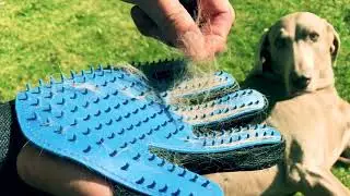 MAGIC TIERHAAR-HANDSCHUH