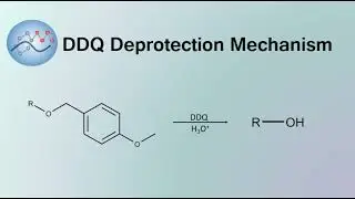 DDQ Deprotection Mechanism | Organic Chemistry