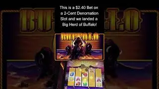 MASSIVE WIN on BUFFALO SLOT MACHINE #SLOTS #GAMBLING #VEGAS #CASINO #LASVEGAS #SLOTSHORTS