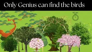 Nobody can see the hidden animal / Birds || Brain game || puzzle || hidden animals