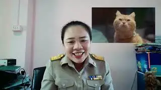 [Reaction Official Trailer] เปย์รักด้วยแมวเลี้ยง #CatForCash | #เฟิร์สข้าวตัง