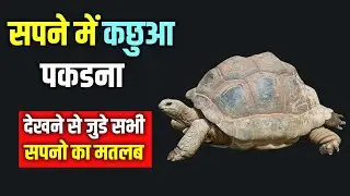 Sapne me Kachua Pakadna || Catching Tortoise in dream || Kachua Pakadne ka Sapna dekhna