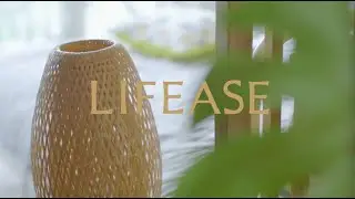 Lifease | Summer Splash Collection