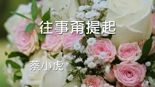 #往事甭提起 #心所愛的歌 #蔡小虎 #台灣歌曲人生
