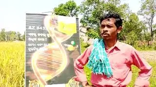 Bayer Az 8433 DT farmer feed back video