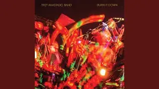 Alive Again (Live)
