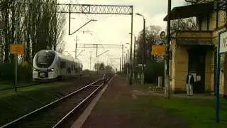Lubuski rekin SA139-008