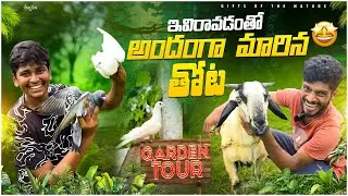 ఇప్పుడు మనతోట ఎలావుందో చూడండి🌳 || విజయ్ ఇక్కడ కొన్నిరకాల పెంపుడు జంతువులు పెంచుతున్నాడు #gardentour