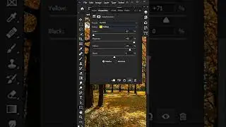 Autumn effect in photoshop step details 👇
