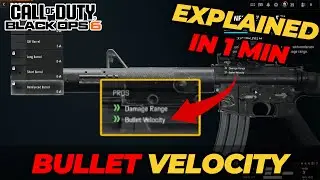 Black Ops 6: What Does Bullet Velocity DO!?!