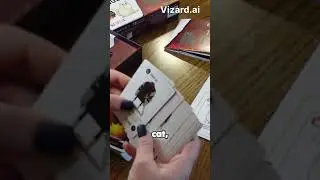 Gameplay Anticipation  Exploding Kittens with Friends