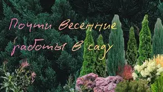 Подпорные стенки,дорожка из камня к пруду.Посадки-пересадки в саду 