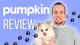 Обзор страхования домашних животных Pumpkin