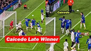 Chelsea Fans Reactions to Moises Caicedo Goal vs Pafos