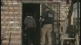 Roswell body found in backyard