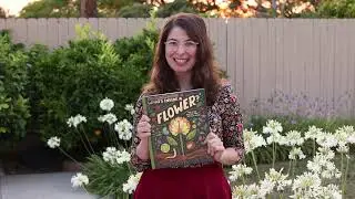 The making of What's Inside a Flower? By Rachel Ignotofsky