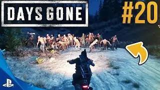 CO MOŻE P&Oacute;JŚĆ NIE TAK😂? DAYS GONE #20