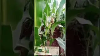 IMC Agri. Products Result