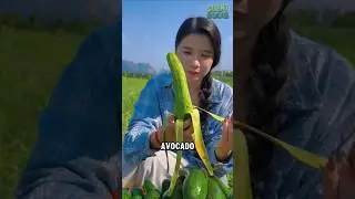 The Long Avocado