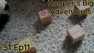BLS Movie: Hooper&rsquo;s Big Adventures: S1 Ep11 - Block Adventure!
