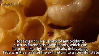 2.2% 10-HDA Organic Fresh Royal Jelly Natural Bee Honey Royal Jelly