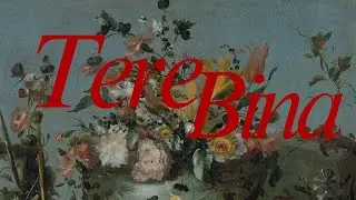 TERE BINA - THE HARRY PRODUCTION &bull; [ ARTIST ]- @HARRYKRISHNAmYDV 