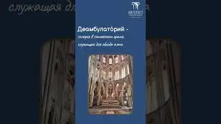 Деамбулаторий #термины