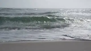 Search The Gulf Coast Orange Beach | Meredith #searchthegulf #gulf #coast