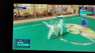 Arceus Stats were maxed out Towards the end finishing off the opponent with 4HP Left.