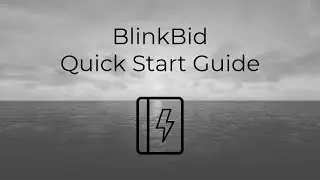Blinkbid: Quick Start Guide