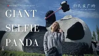 📸 Как сделать селфи с гигантской пандой 🐼 | Лучшие места и ракурсы для фото на площади Ян Тянь Во 🐾