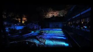 松島瑞巌寺ライトアップ2024　Zuiganji　Matsushima　JAPAN　Ligth　up
