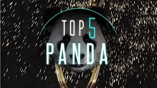 Best Desiigner - Panda Dance Videos | #DanceOnPanda
